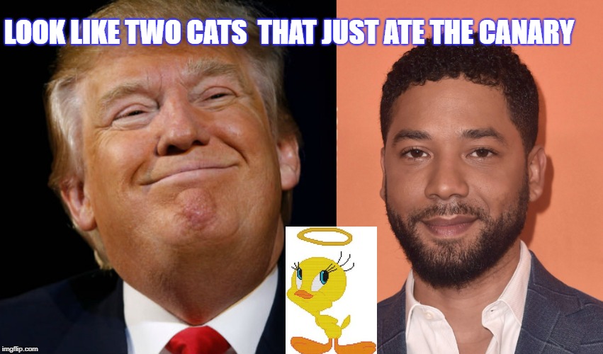 the look you get when you think you got away with something | LOOK LIKE TWO CATS  THAT JUST ATE THE CANARY | image tagged in jussie smollett,trump,smirk | made w/ Imgflip meme maker