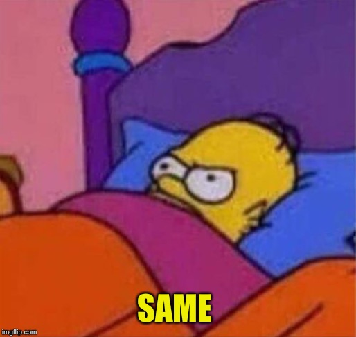 angry homer simpson in bed | SAME | image tagged in angry homer simpson in bed | made w/ Imgflip meme maker