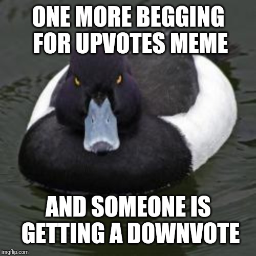Angry Advice Mallard | ONE MORE BEGGING FOR UPVOTES MEME AND SOMEONE IS GETTING A DOWNVOTE | image tagged in angry advice mallard | made w/ Imgflip meme maker