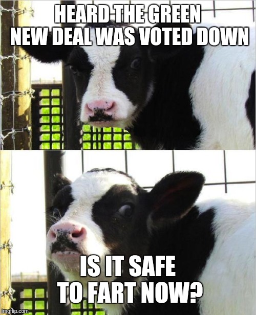 cows | HEARD THE GREEN NEW DEAL WAS VOTED DOWN; IS IT SAFE TO FART NOW? | image tagged in cows | made w/ Imgflip meme maker