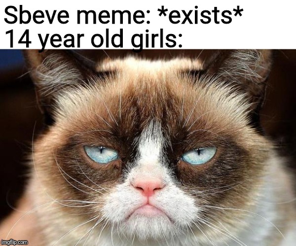Grumpy Cat Not Amused Meme | Sbeve meme: *exists*; 14 year old girls: | image tagged in memes,grumpy cat not amused,grumpy cat | made w/ Imgflip meme maker