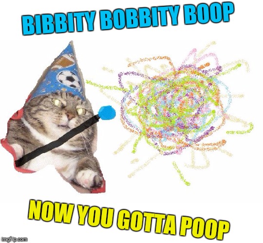 Whoosh HD | BIBBITY BOBBITY BOOP; NOW YOU GOTTA POOP | image tagged in whoosh hd,memes,cats,wizard cat | made w/ Imgflip meme maker