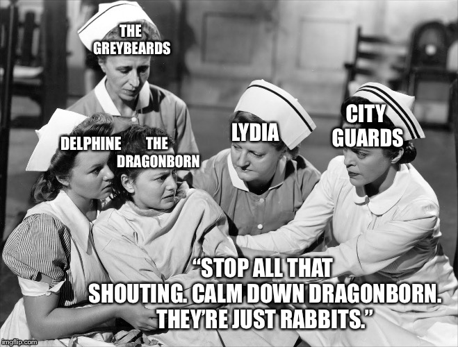 Shouting at rabbits in Skyrim | THE GREYBEARDS; CITY GUARDS; DELPHINE; LYDIA; THE DRAGONBORN; “STOP ALL THAT SHOUTING. CALM DOWN DRAGONBORN. THEY’RE JUST RABBITS.” | image tagged in crazy | made w/ Imgflip meme maker