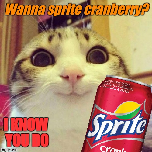 cranberry cat | Wanna sprite cranberry? I KNOW YOU DO | image tagged in wanna sprite cranberry | made w/ Imgflip meme maker