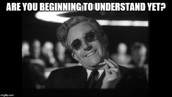 dr strangelove | ARE YOU BEGINNING TO UNDERSTAND YET? | image tagged in dr strangelove | made w/ Imgflip meme maker