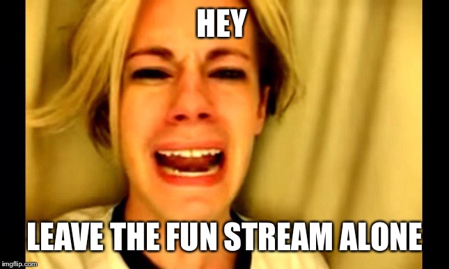 Leave ________ alone! | HEY LEAVE THE FUN STREAM ALONE | image tagged in leave ________ alone | made w/ Imgflip meme maker