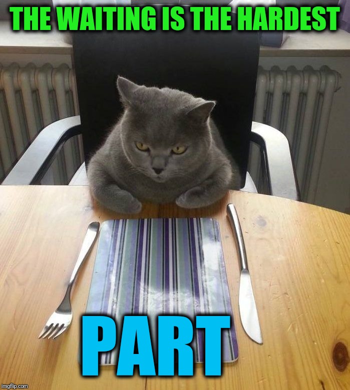 hungry cat | THE WAITING IS THE HARDEST PART | image tagged in hungry cat | made w/ Imgflip meme maker