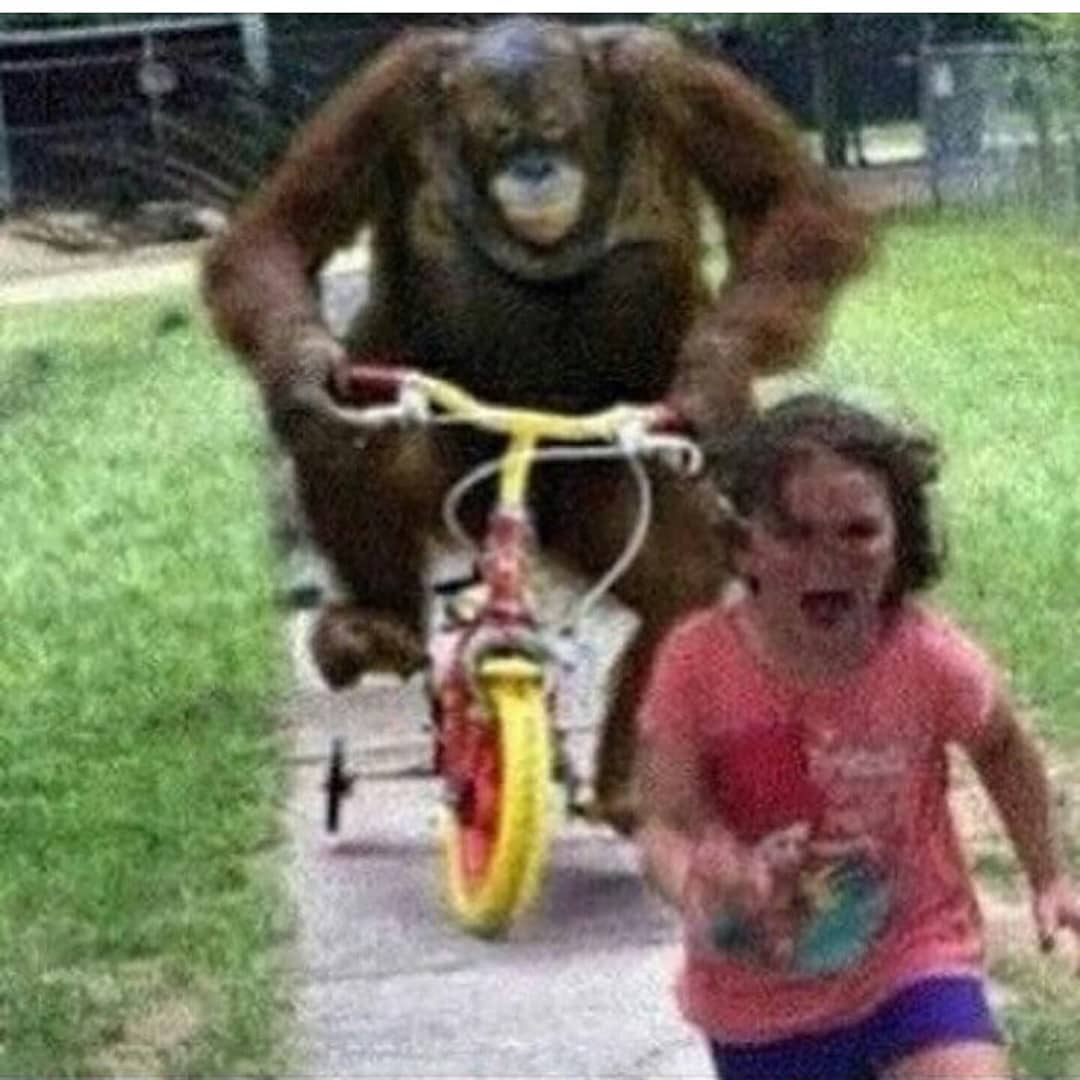 ape on bike Blank Meme Template