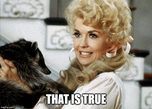 Ellie Mae Clampett | THAT IS TRUE | image tagged in ellie mae clampett | made w/ Imgflip meme maker