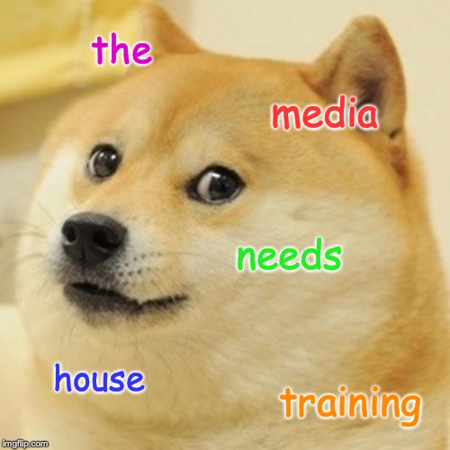 Doge Meme | the media needs house training | image tagged in memes,doge | made w/ Imgflip meme maker