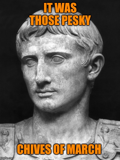 Julius Caesar 5 | IT WAS THOSE PESKY CHIVES OF MARCH | image tagged in julius caesar 5 | made w/ Imgflip meme maker