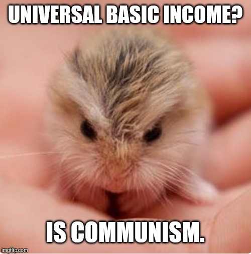 UNIVERSAL BASIC INCOME? IS COMMUNISM. | image tagged in anti-globalization mouse | made w/ Imgflip meme maker