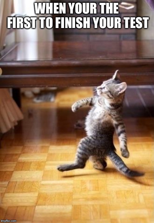 Cool Cat Stroll | WHEN YOUR THE FIRST TO FINISH YOUR TEST | image tagged in memes,cool cat stroll | made w/ Imgflip meme maker