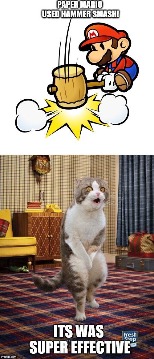 Mario used Hammer Smash on cat | PAPER MARIO USED HAMMER SMASH! ITS WAS SUPER EFFECTIVE | image tagged in memes,gotta go cat,mario hammer smash | made w/ Imgflip meme maker