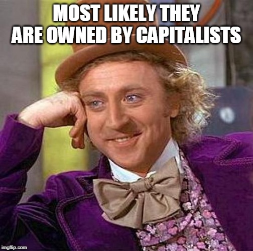 Creepy Condescending Wonka Meme | MOST LIKELY THEY ARE OWNED BY CAPITALISTS | image tagged in memes,creepy condescending wonka | made w/ Imgflip meme maker