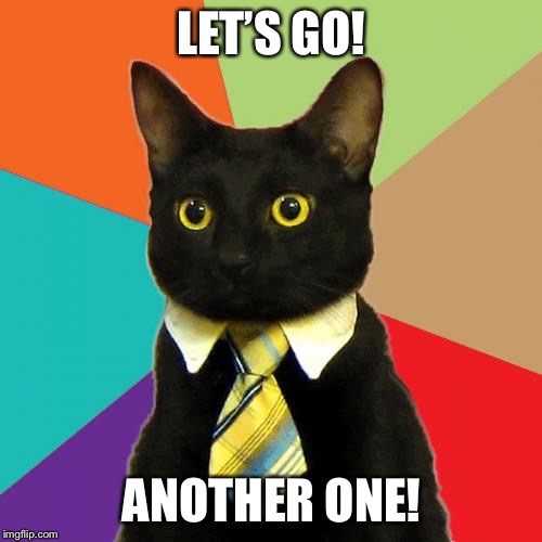 Business Cat Meme | LET’S GO! ANOTHER ONE! | image tagged in memes,business cat | made w/ Imgflip meme maker