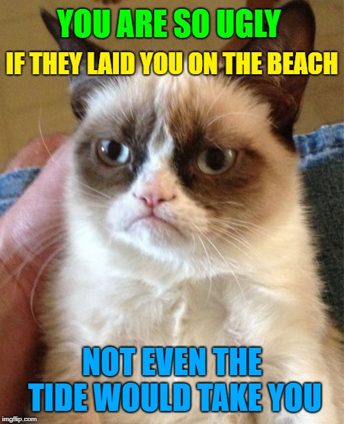 Grumpy Cat Meme | YOU ARE SO UGLY; IF THEY LAID YOU ON THE BEACH; NOT EVEN THE TIDE WOULD TAKE YOU | image tagged in memes,grumpy cat | made w/ Imgflip meme maker