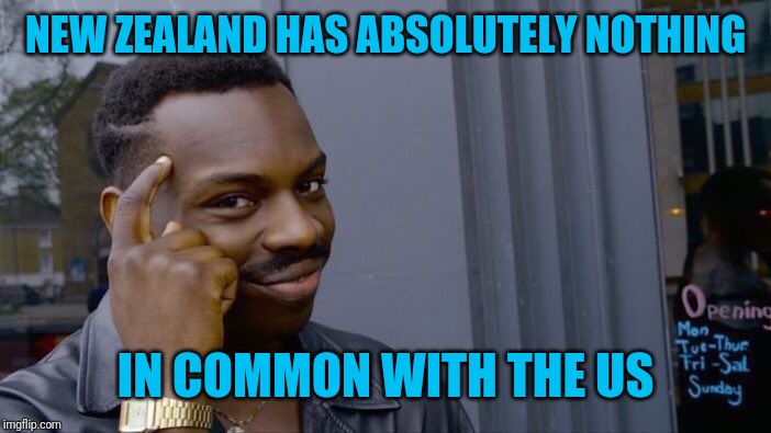 Roll Safe Think About It Meme | NEW ZEALAND HAS ABSOLUTELY NOTHING IN COMMON WITH THE US | image tagged in memes,roll safe think about it | made w/ Imgflip meme maker