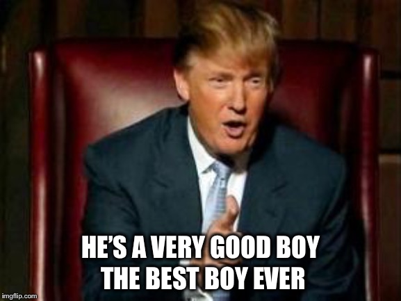 Donald Trump | HE’S A VERY GOOD BOY THE BEST BOY EVER | image tagged in donald trump | made w/ Imgflip meme maker