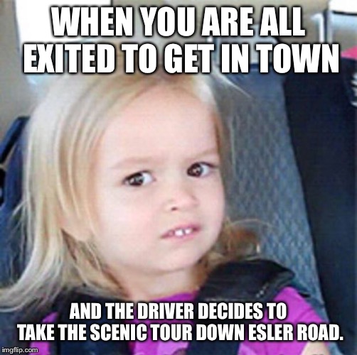 Confused Little Girl | WHEN YOU ARE ALL EXITED TO GET IN TOWN; AND THE DRIVER DECIDES TO TAKE THE SCENIC TOUR DOWN ESLER ROAD. | image tagged in confused little girl | made w/ Imgflip meme maker