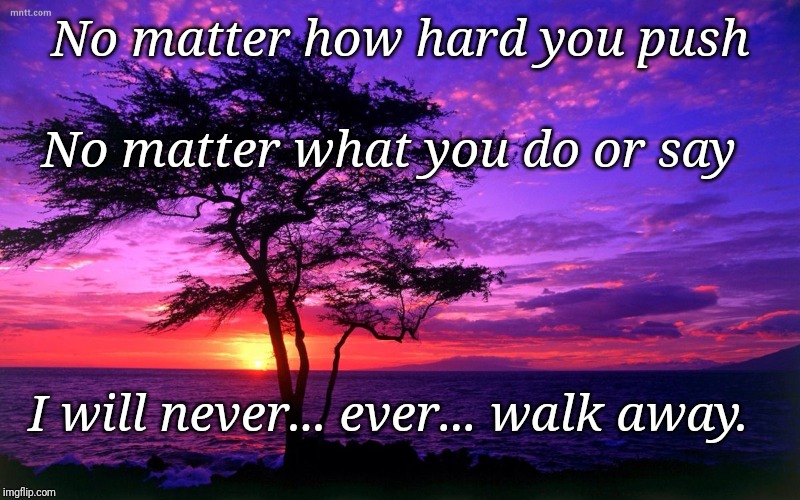 Love | No matter how hard you push; No matter what you do or say; I will never... ever... walk away. | image tagged in love | made w/ Imgflip meme maker