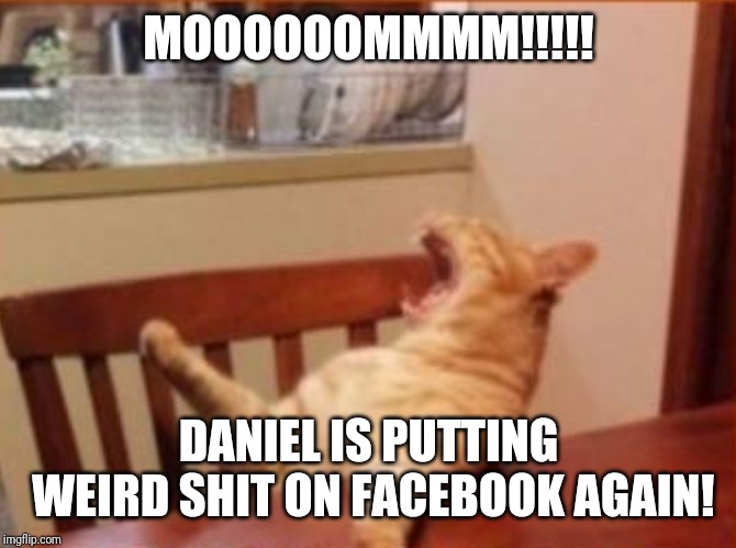 Mooommmmm!! | MOOOOOOMMMM!!!!! DANIEL IS PUTTING WEIRD SHIT ON FACEBOOK AGAIN! | image tagged in mooommmmm | made w/ Imgflip meme maker