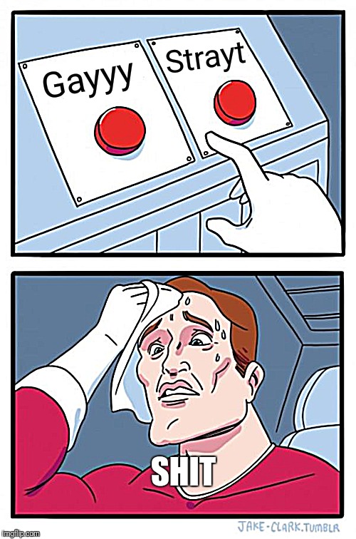 Two Buttons | Strayt; Gayyy; SHIT | image tagged in memes,two buttons | made w/ Imgflip meme maker