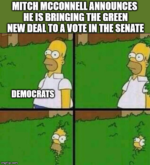 It seems even the Democrats are now backing away from the Green New Deal. | MITCH MCCONNELL ANNOUNCES HE IS BRINGING THE GREEN NEW DEAL TO A VOTE IN THE SENATE; DEMOCRATS | image tagged in homer simpson in bush - large | made w/ Imgflip meme maker