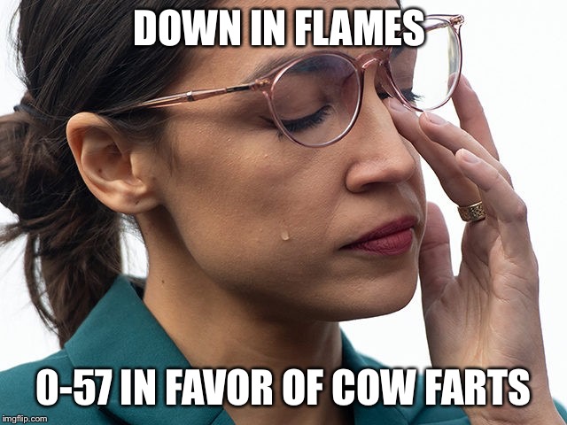 Failure Alexandria Ocasio-Cortez | DOWN IN FLAMES; 0-57 IN FAVOR OF COW FARTS | image tagged in failure alexandria ocasio-cortez | made w/ Imgflip meme maker