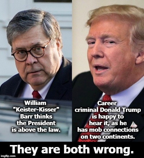 Career criminal Donald Trump is happy to hear it, as he has mob connections on two continents. William "Keister-Kisser" Barr thinks the President is above the law. They are both wrong. | image tagged in william barr,donald trump,mob,mafia,president,law | made w/ Imgflip meme maker