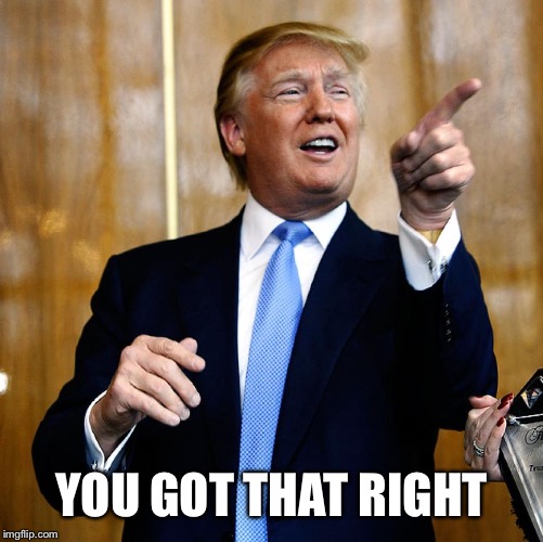Donal Trump Birthday | YOU GOT THAT RIGHT | image tagged in donal trump birthday | made w/ Imgflip meme maker