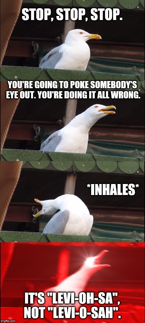 Inhaling Seagull | STOP, STOP, STOP. YOU'RE GOING TO POKE SOMEBODY'S EYE OUT. YOU'RE DOING IT ALL WRONG. *INHALES*; IT'S "LEVI-OH-SA", NOT "LEVI-O-SAH". | image tagged in memes,inhaling seagull | made w/ Imgflip meme maker