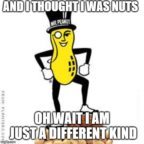 mr peanut | AND I THOUGHT I WAS NUTS; OH WAIT I AM JUST A DIFFERENT KIND | image tagged in mr peanut | made w/ Imgflip meme maker