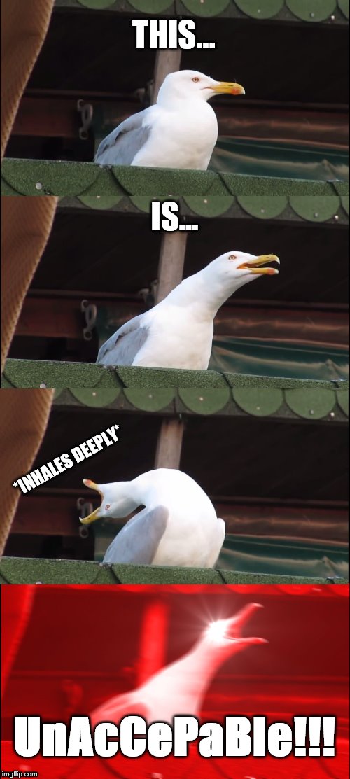 Seagull Unacceptable!!! | THIS... IS... *INHALES DEEPLY*; UnAcCePaBle!!! | image tagged in memes,inhaling seagull | made w/ Imgflip meme maker