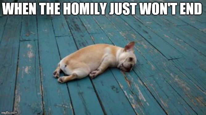 tired dog | WHEN THE HOMILY JUST WON'T END | image tagged in tired dog | made w/ Imgflip meme maker