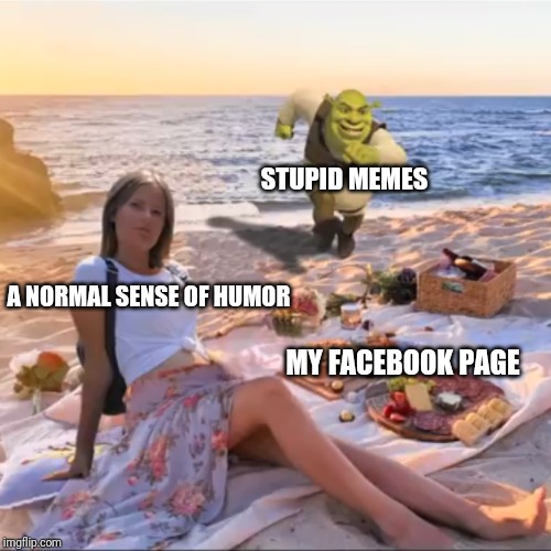 STUPID MEMES; A NORMAL SENSE OF HUMOR; MY FACEBOOK PAGE | image tagged in stupid meme | made w/ Imgflip meme maker