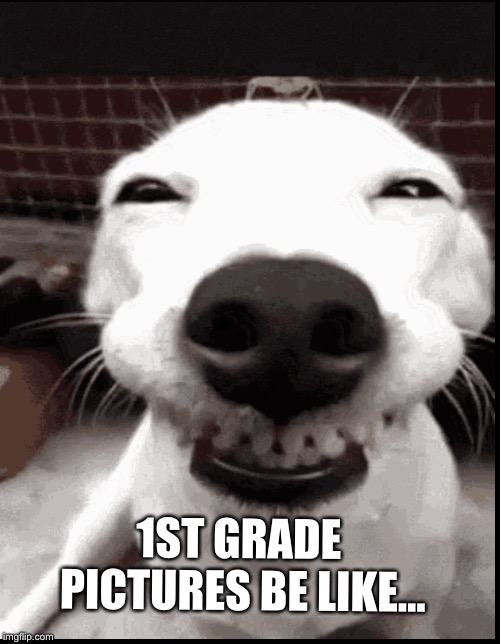 Doggo | 1ST GRADE PICTURES BE LIKE... | image tagged in funny dogs | made w/ Imgflip meme maker