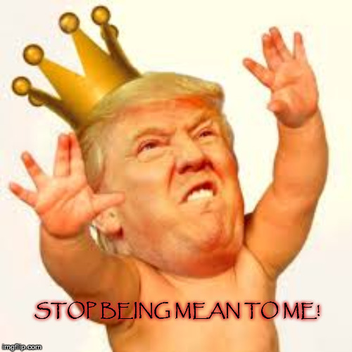 STOP BEING MEAN TO ME! | image tagged in trump,potus,mega,releasethereport | made w/ Imgflip meme maker
