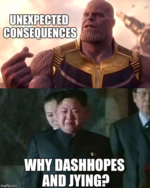 Little late, but I'll post this anyway. Rest in pepperonis in your time away from Imgflip... | UNEXPECTED CONSEQUENCES; WHY DASHHOPES AND JYING? | image tagged in memes,kim jong un sad,thanos snap,dashhopes,jying,sad | made w/ Imgflip meme maker