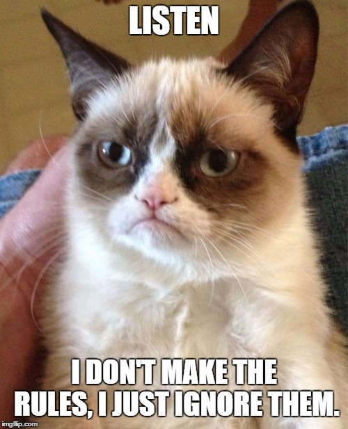 Grumpy Cat | LISTEN; I DON'T MAKE THE RULES, I JUST IGNORE THEM. | image tagged in memes,grumpy cat | made w/ Imgflip meme maker