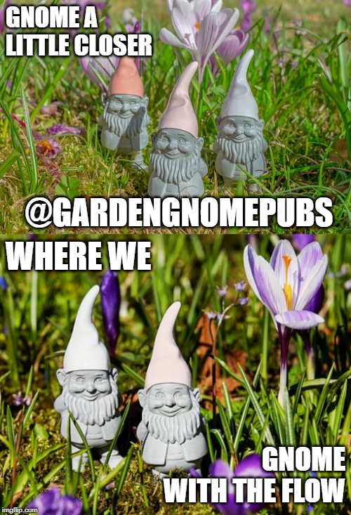 GNOME A LITTLE CLOSER; @GARDENGNOMEPUBS; WHERE WE; GNOME WITH THE FLOW | made w/ Imgflip meme maker