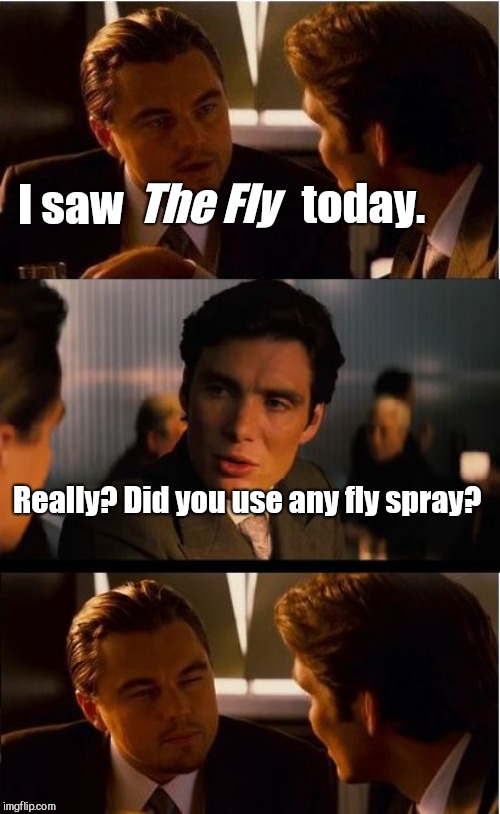 Inception Meme | The Fly; I saw; today. Really? Did you use any fly spray? | image tagged in memes,inception | made w/ Imgflip meme maker