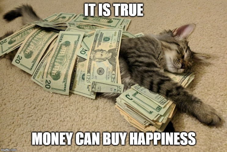 Money kitty | IT IS TRUE; MONEY CAN BUY HAPPINESS | image tagged in money | made w/ Imgflip meme maker
