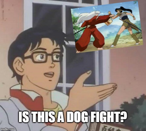 Is This A Pigeon | IS THIS A DOG FIGHT? | image tagged in memes,is this a pigeon,animeme,anime,dog fight | made w/ Imgflip meme maker