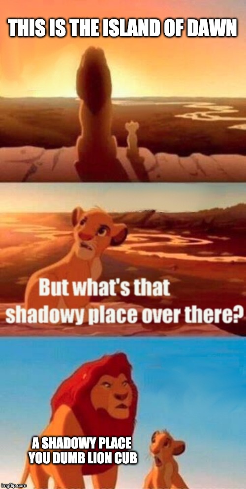 Simba Shadowy Place | THIS IS THE ISLAND OF DAWN; A SHADOWY PLACE YOU DUMB LION CUB | image tagged in memes,simba shadowy place | made w/ Imgflip meme maker