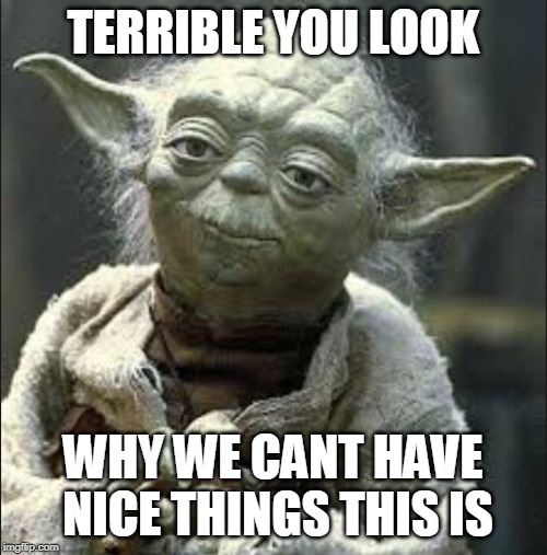 this is why we can't have nice things yoda | TERRIBLE YOU LOOK WHY WE CANT HAVE NICE THINGS THIS IS | image tagged in this is why we can't have nice things yoda | made w/ Imgflip meme maker