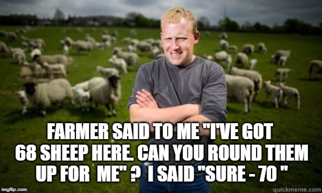 Sheep Farmer Blunt | FARMER SAID TO ME "I'VE GOT 68 SHEEP HERE. CAN YOU ROUND THEM UP FOR  ME" ?  I SAID "SURE - 70 " | image tagged in sheep farmer blunt | made w/ Imgflip meme maker
