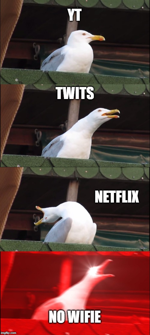 Inhaling Seagull Meme | YT; TWITS; NETFLIX; NO WIFIE | image tagged in memes,inhaling seagull | made w/ Imgflip meme maker