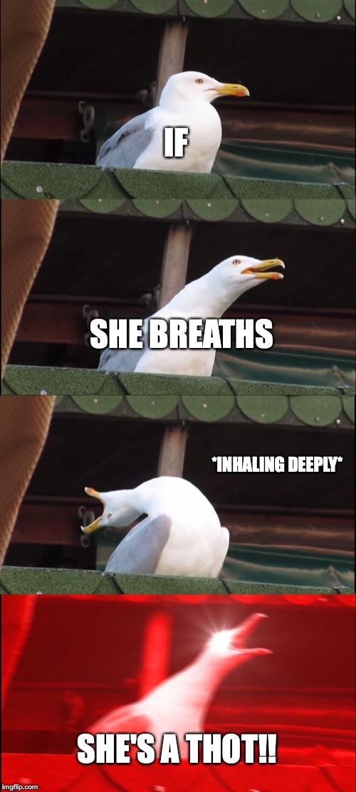 Inhaling Seagull Meme | IF; SHE BREATHS; *INHALING DEEPLY*; SHE'S A THOT!! | image tagged in memes,inhaling seagull | made w/ Imgflip meme maker