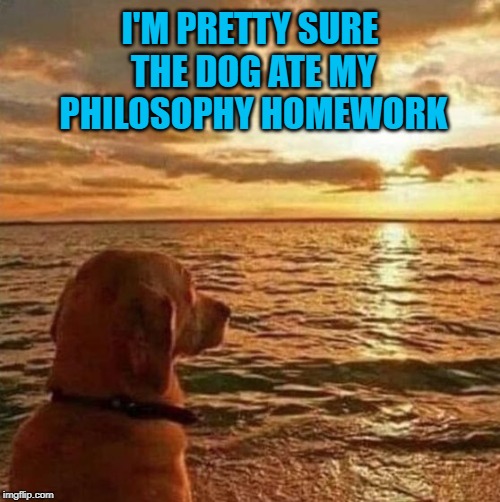 You are what you eat they say... | I'M PRETTY SURE THE DOG ATE MY PHILOSOPHY HOMEWORK | image tagged in philosophy dog,memes,dogs,funny,the dog ate my homework,animals | made w/ Imgflip meme maker